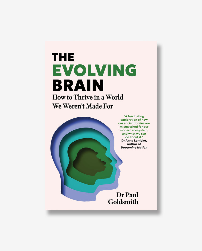 The Evolving Brain
